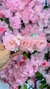 Presilha de Flores - Rosa Claro na internet