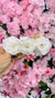 Presilha de Flores - Branco - comprar online