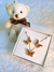 Conjunto borboleta cravejado