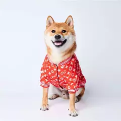 Jaqueta pet na internet