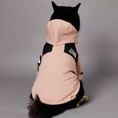 Casaco estiloso na internet