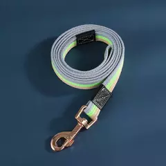 Guia para coleira na internet