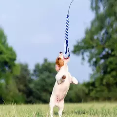 Vara interativa retrátil na internet