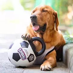 Bola de couro de brinquedo - comprar online