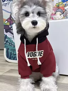Camiseta estilosa na internet
