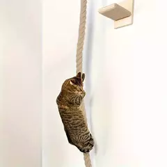 Corda de escalada - Focinhos & Garras