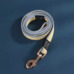 Guia para coleira - comprar online