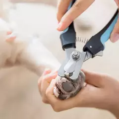 Cortador de unhas pet - comprar online
