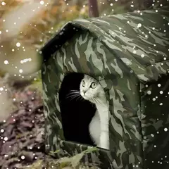 Imagem do Casa abrigo dobrável ao ar livre