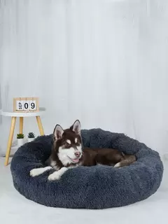 Cama ultra macia na internet