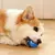 Bola de brinquedo inteligente para cachorro e gatos na internet