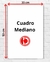 CUADRO MEDIANO BLEACH - comprar online