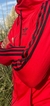 Campera Deportiva AD Clásica en internet
