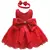 Imagem do Vestido Rainha do Jardim