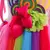 PRINCESA ARCO IRIS (ALF0034) - loja online