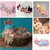 FANTASIA RN ANIMAIS CROCHE