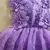 VESTIDO VIOLETA DO BOSQUE na internet