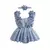 VESTIDO VIOLETA DO BOSQUE - comprar online
