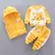 Imagem do Conjunto Urso