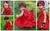 Imagem do Vestido Rainha do Jardim