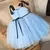 Vestido Tule Real