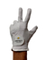 Imagen de Guantes de Golf 100% cabretilla - (pack x8)