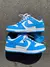 SB Dunk Low na internet