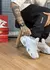 Nocta X Glide - comprar online