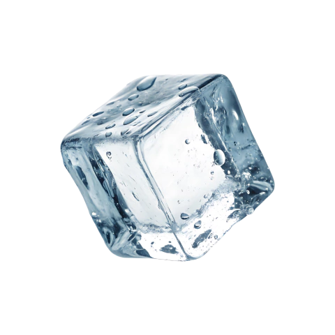 Frost Company