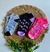 Kit Meias Infantil Menina - The Moon - comprar online