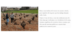 Banner de la categoría Vinos