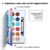 Paleta de sombras Cyzone- Twelve O'Clock OCEAN BREEZE - Papercat Bazar