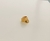 Anillo MoMa en internet