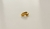 Anillo Golden Oval en internet