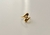 Anillo Saga en internet