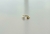 Anillo Closing Pearl en internet