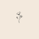 ahromafragrancias.com.br favicon