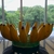 Fruteira Banana P - loja online