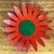 Imagem do Fruteira Melancia - G