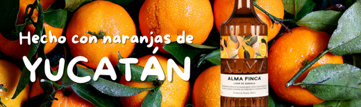 Banner de Destilando Shop - Tequila, Mezcal, Bacanora, Raicilla y más