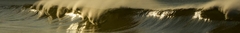 Banner da categoria Galeria