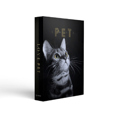 Box decorativa Love Pet com capa de gato realista. Ideal para amantes de pets que buscam estilo e afeto na decoração.