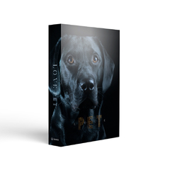 Box decorativa Love Pet com capa de cachorro da raça Labrador em destaque. Ideal para apaixonados por pets que buscam beleza e afeto na decoração do lar.