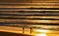 Surfistas caminham na praia dourada de Chicama, Peru, sob a luz do pôr do sol que reflete em linhas perfeitas de ondas. Cena poética e luminosa.