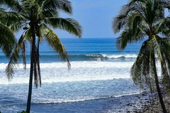 Cenário tropical com coqueiros enquadrando ondas perfeitas em mar azul cristalino. Praia de El Salvador com visual paradisíaco e vibe surfista.