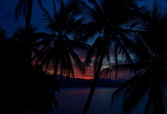 Pôr do sol tropical em El Salvador com silhuetas de coqueiros, céu colorido e mar tranquilo. Fotografia de Jaime Velho capturando o crepúsculo costeiro.
