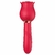 Vibrador de Ponto G e Clitóris / Rosa com Pulsação - Carmim - loja online