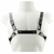 Harness Kratos