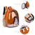 Mochila Pet Para Transporte De Cães E Gatos Visão Panorâmica - Bralely