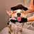Luva Chuveiro para banho Cães Gatos e Pets - comprar online